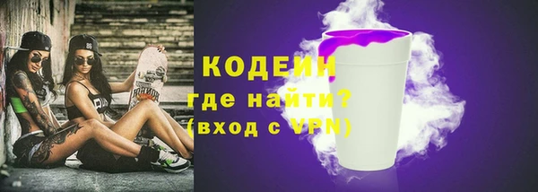 твердый Новодвинск
