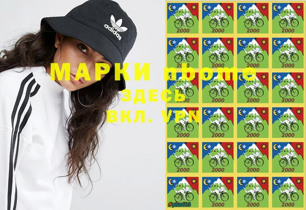 твердый Новодвинск